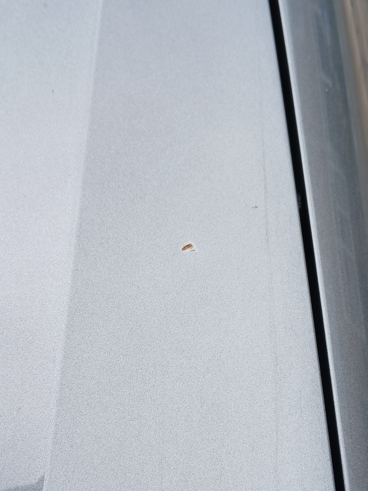 Close-up van een grijze motorkap met één klein steenslagplekje